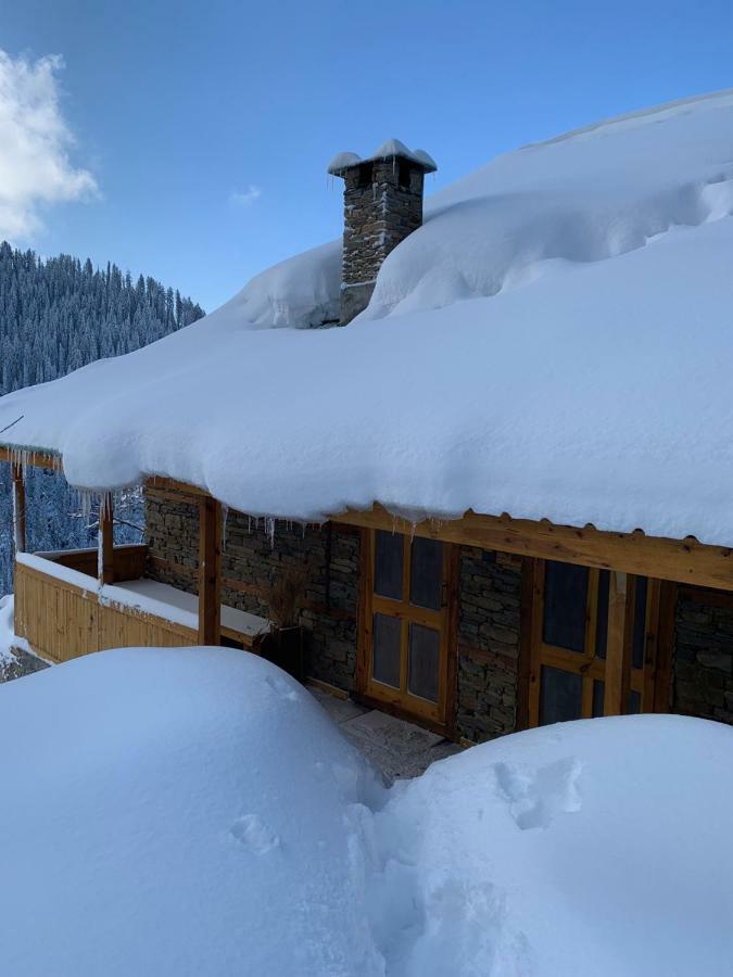 Skyline Villa Rental Нарканда Екстериор снимка